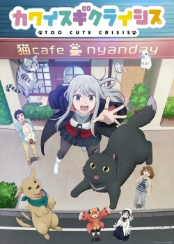 Слишком милый кризис (2023) Слишком милый кризис (2023)